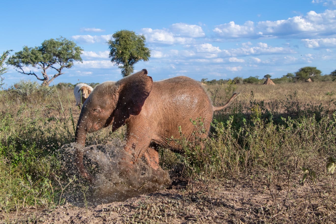 KHANYISA-PLAYING-IN-WATER-LAMMIE-BACKGROUND-APRIL-2020-
