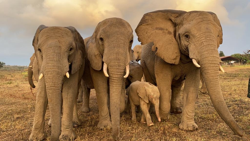 Khanyisa’s Momentous 6 Month Journey at HERD