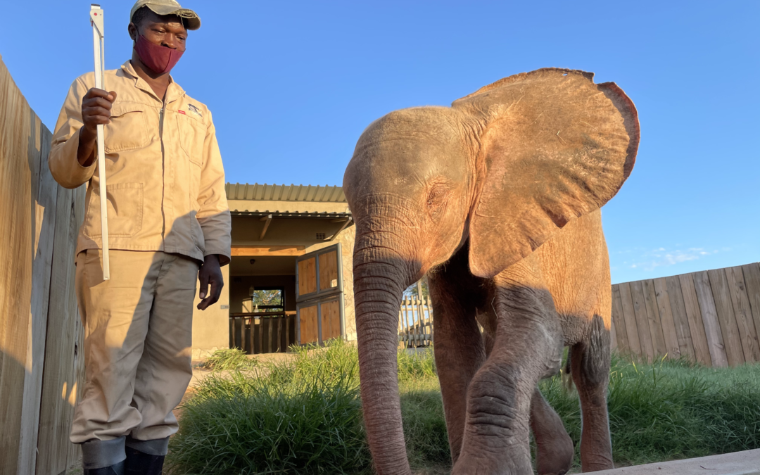 Khanyisa’s Great & Growing Feet