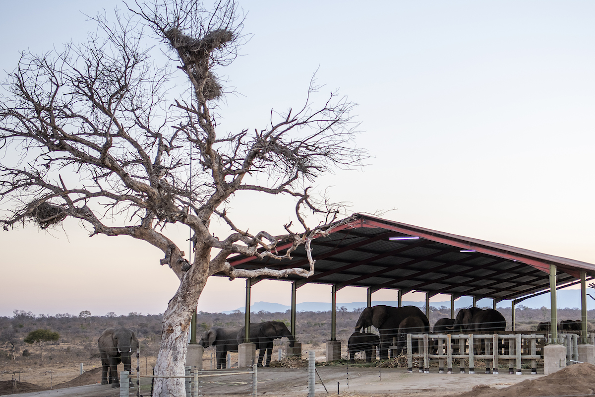 Jabulani_Stables_062_DSC_2874