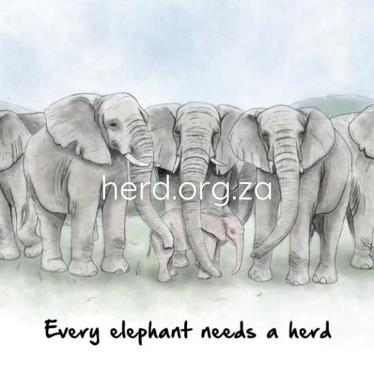 Wisdom 1 – small