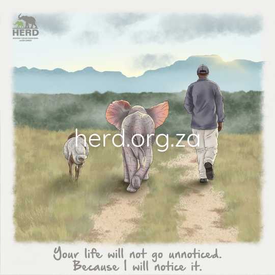 Wisdom 14 – small