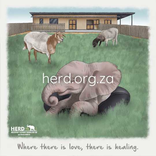 Wisdom 21 – small