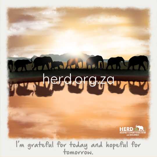 Wisdom 22 – small