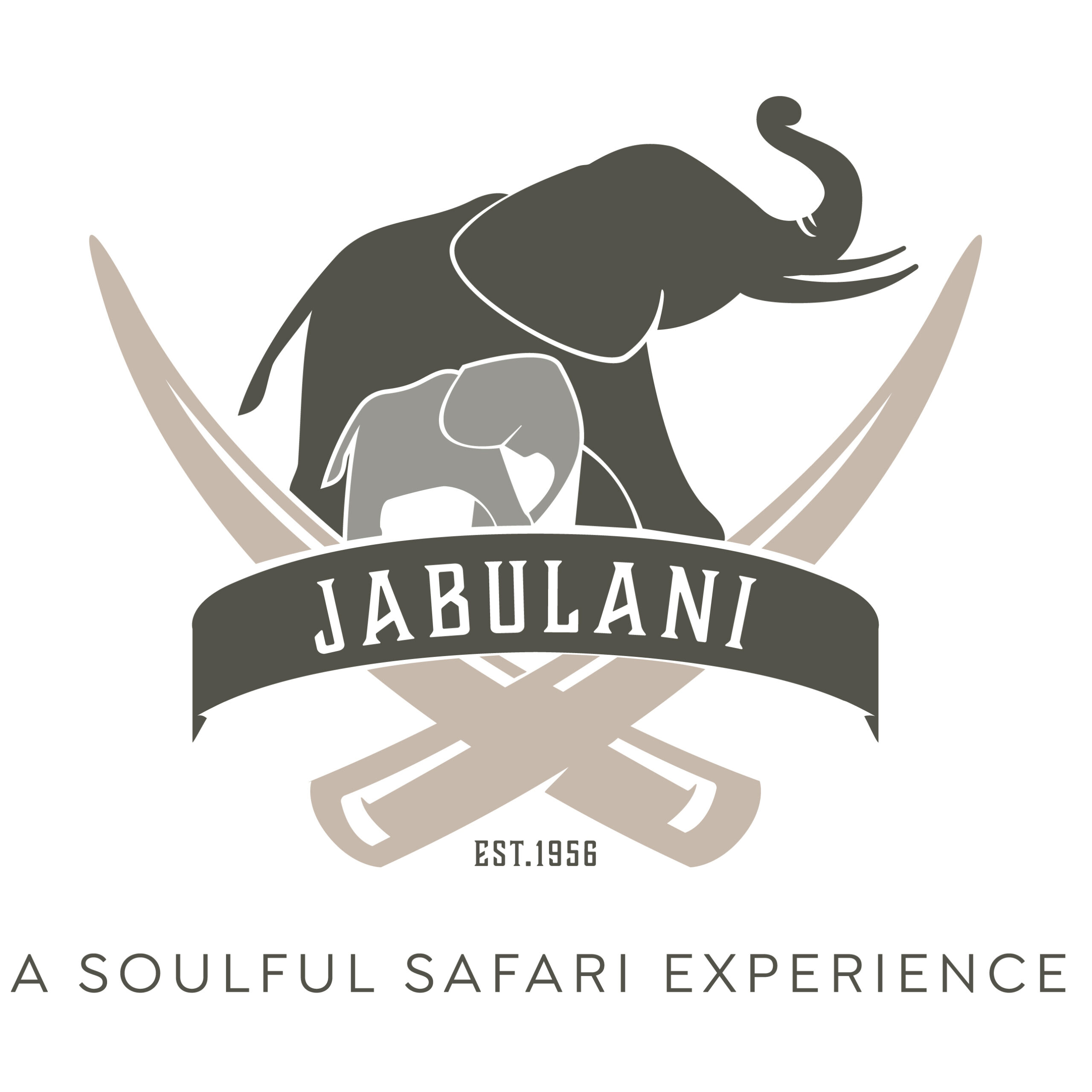 Jabulani