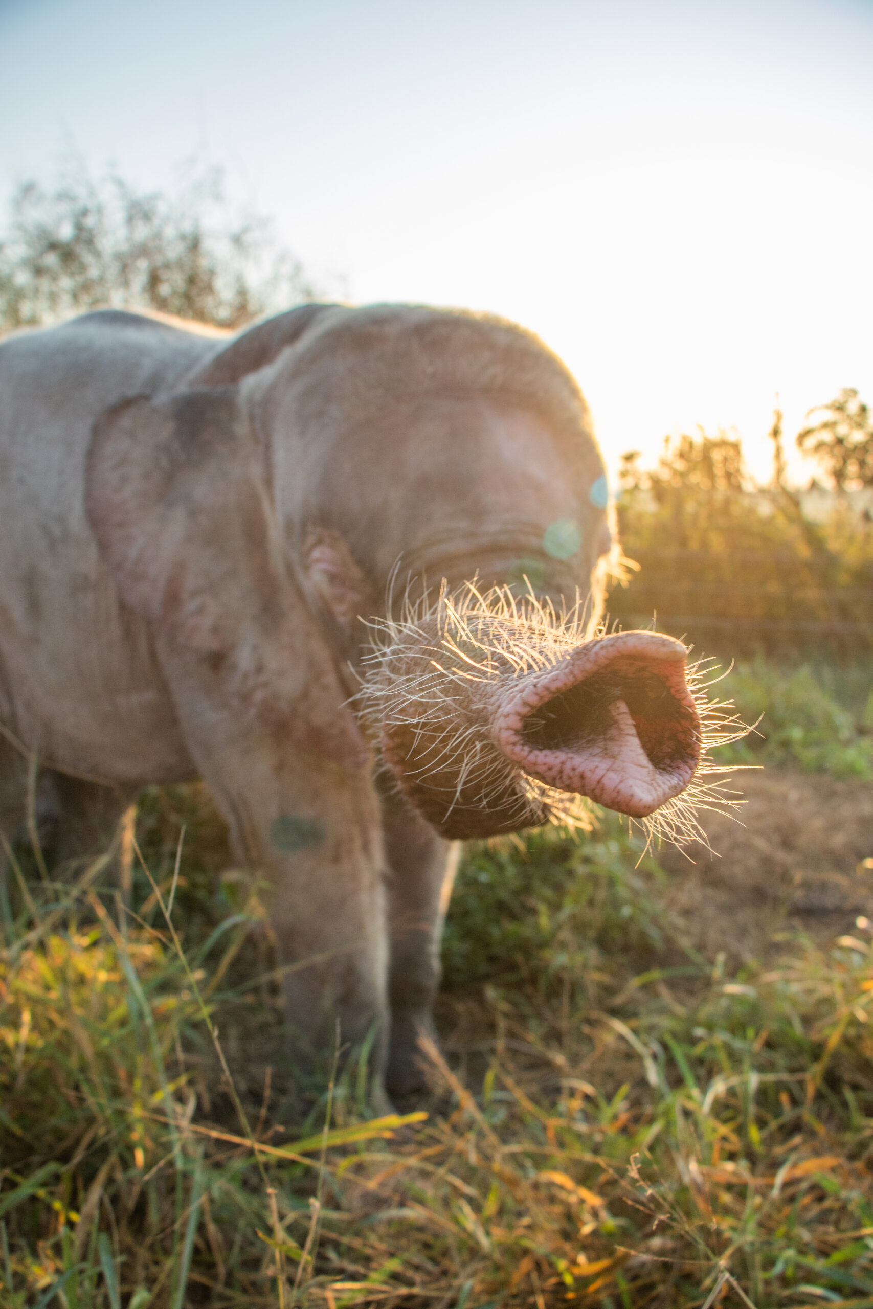 Khanyisa-sunrise-RuanRoos-IMGL4127