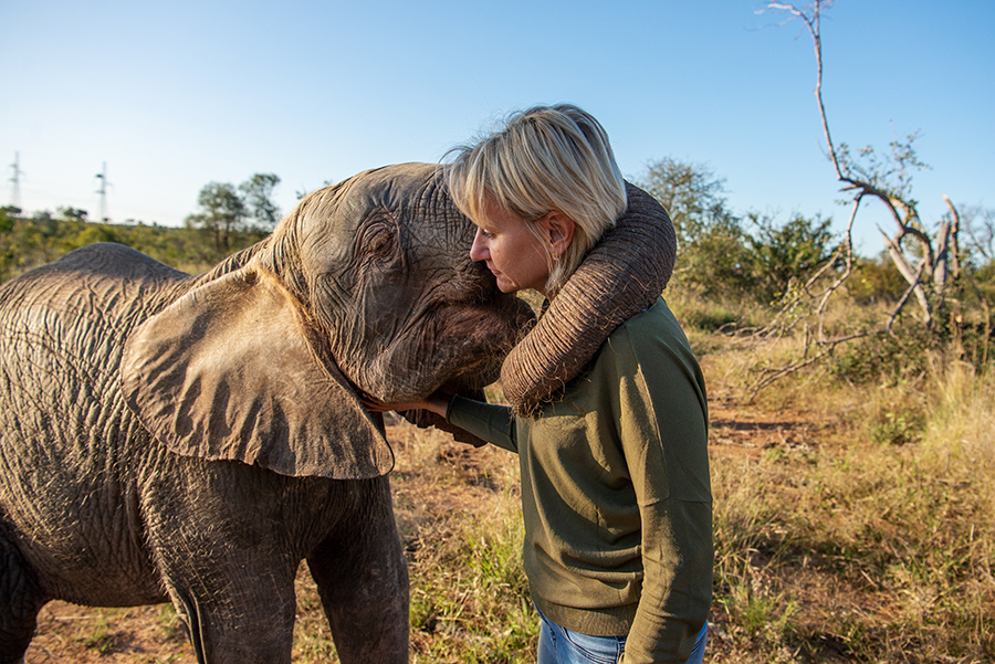 Saving the Elephants’ Home – Phase 2 Has Begun!