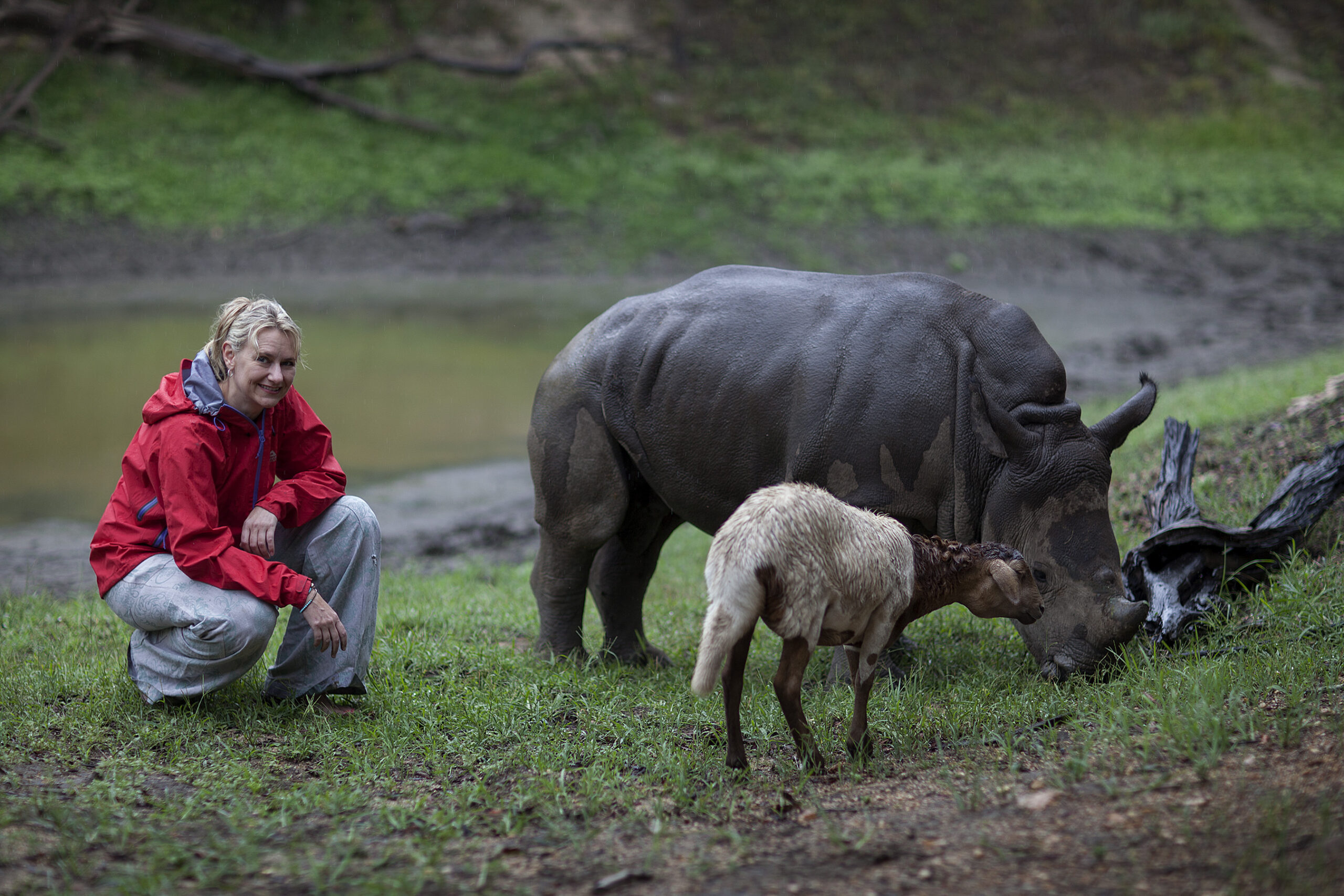 An Incredible Reunion Between Adine & Rhino Orphan, Gertjie