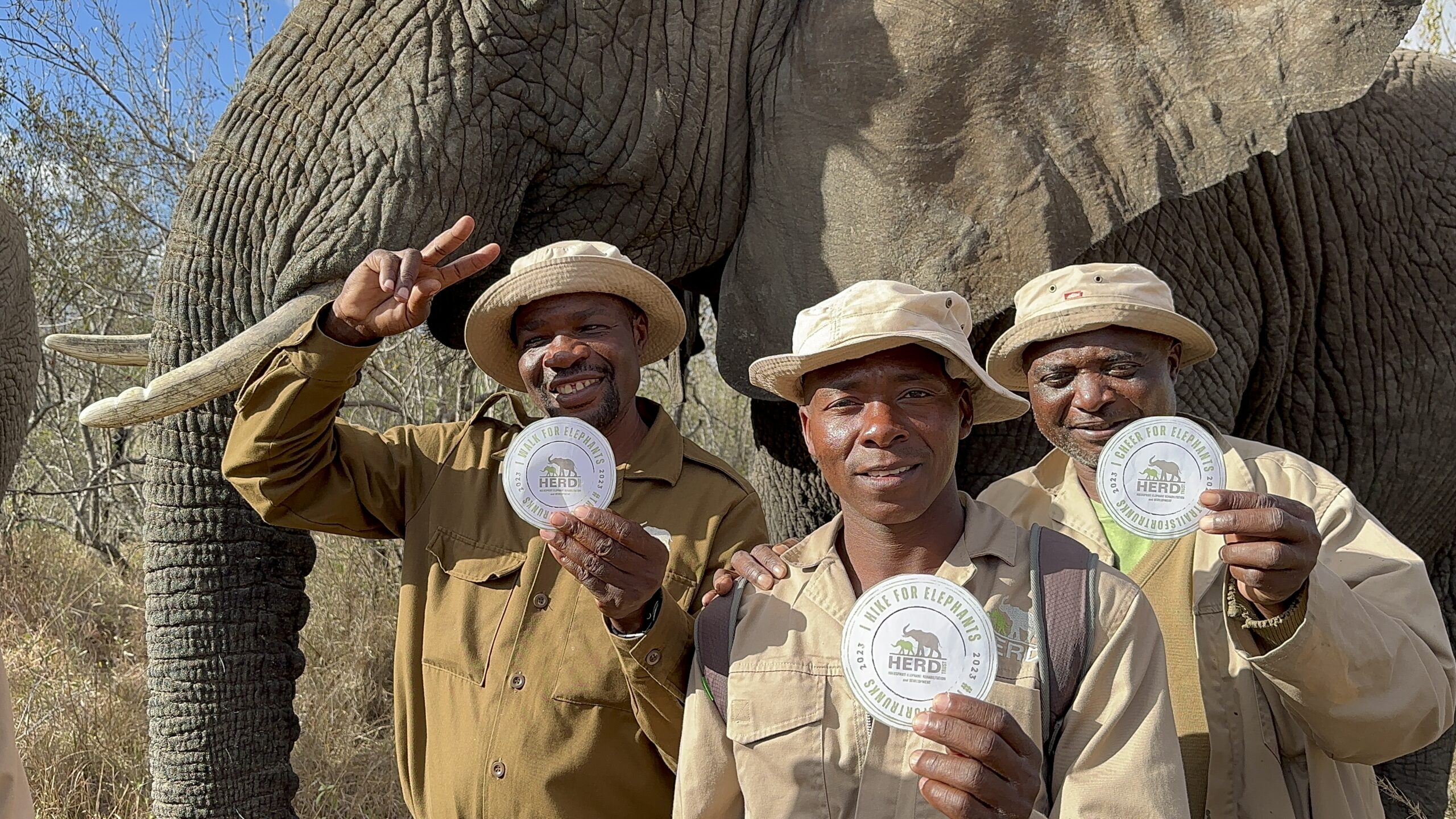 Here’s How People Around the World Went Wild For Elephants | Trails for Trunks 2023