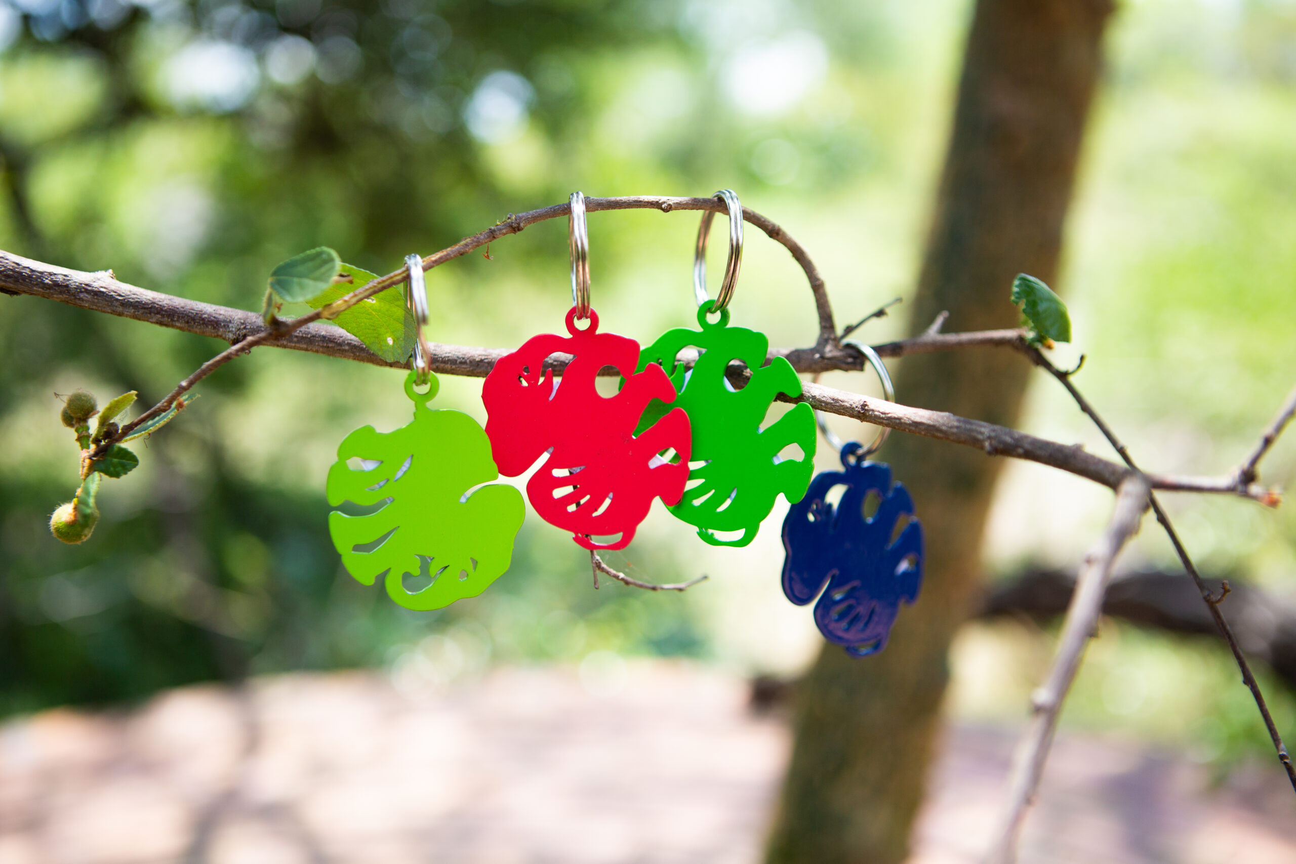 Keyrings