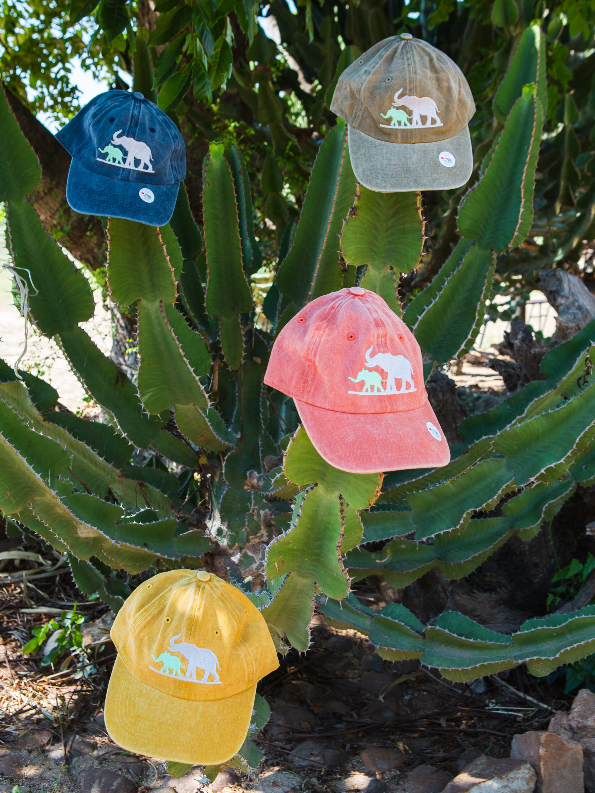 Caps