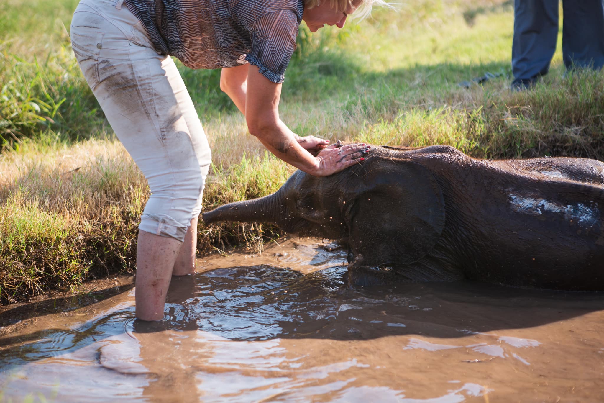 10 Things You Need To Know About New Orphan Elephant, Phabeni