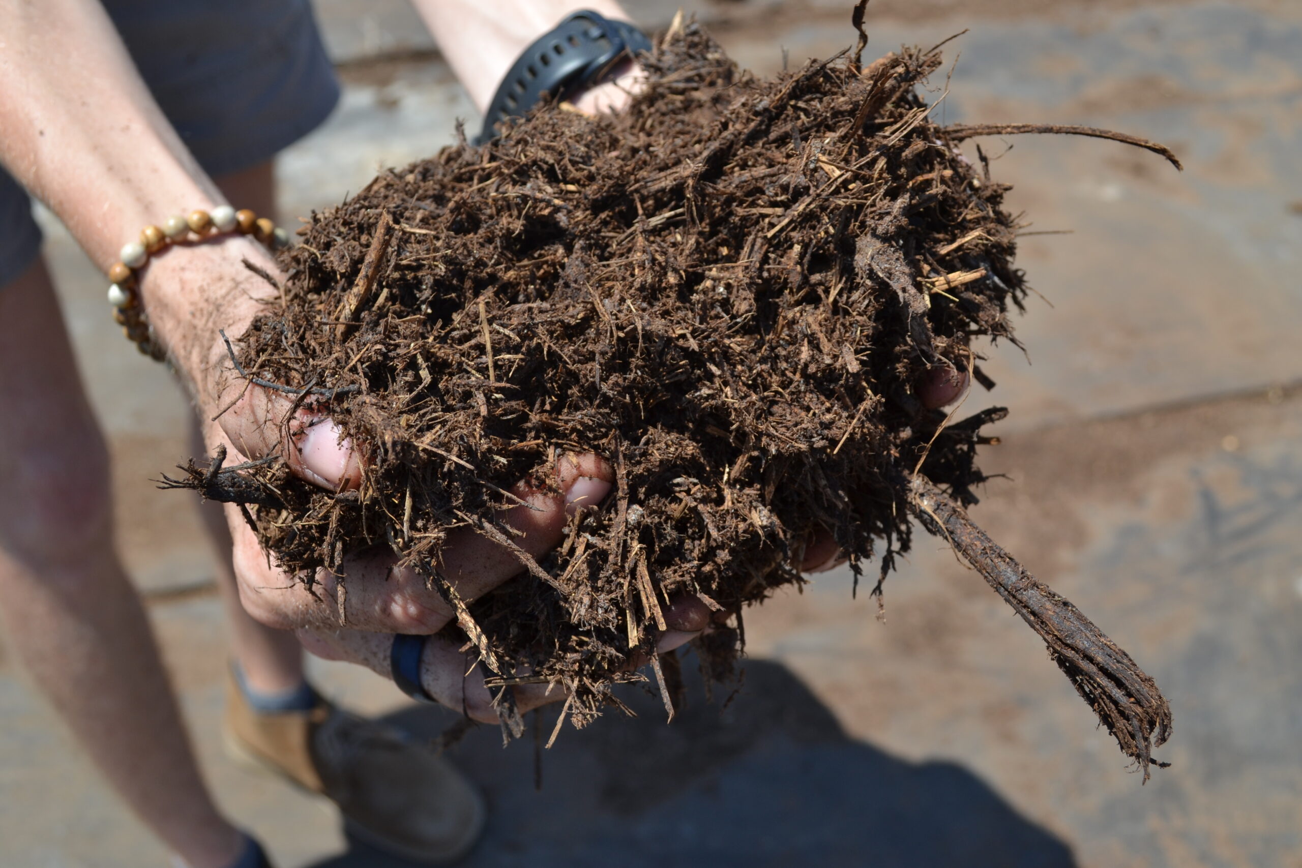 Look Inside the HERD Elephant Dung Compost Project