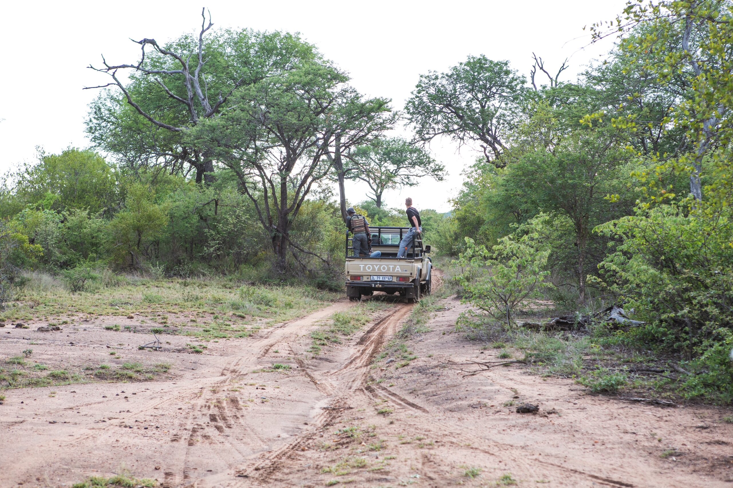 The Brave Men and Women Protecting Wildlife on the Front Line | Anti-Poaching in View