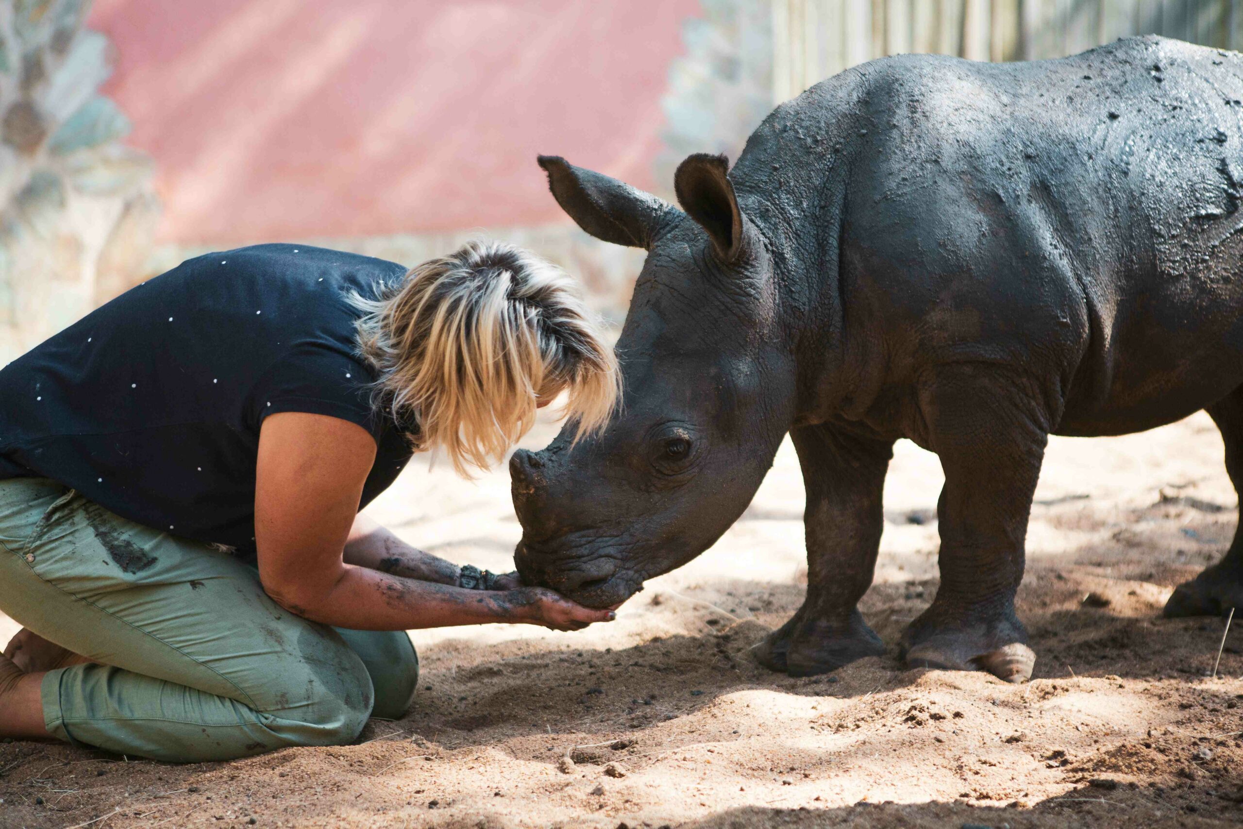 Bula and Peter: Heartwarming Progress and Messy Mud Baths