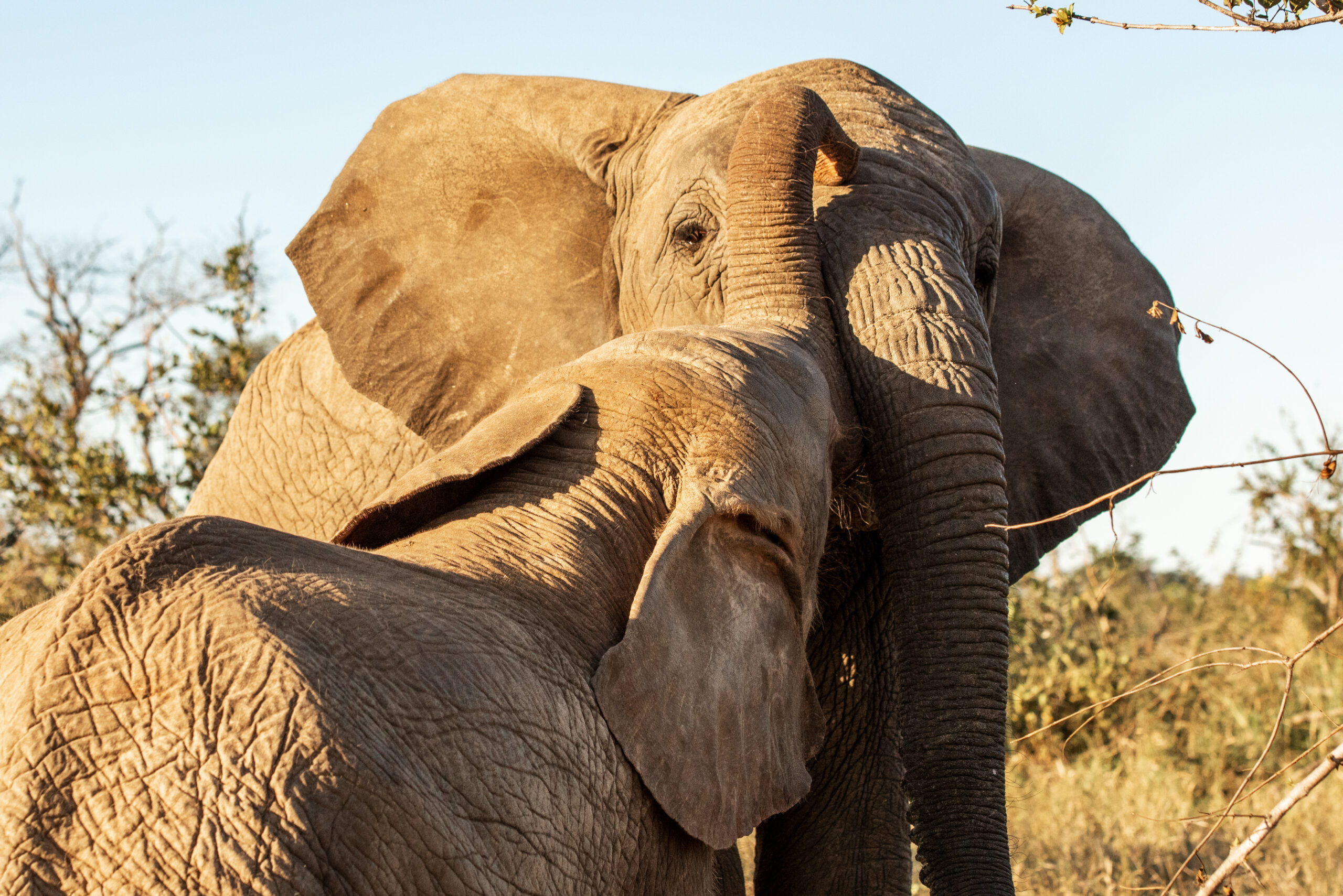 The Power of Love at HERD