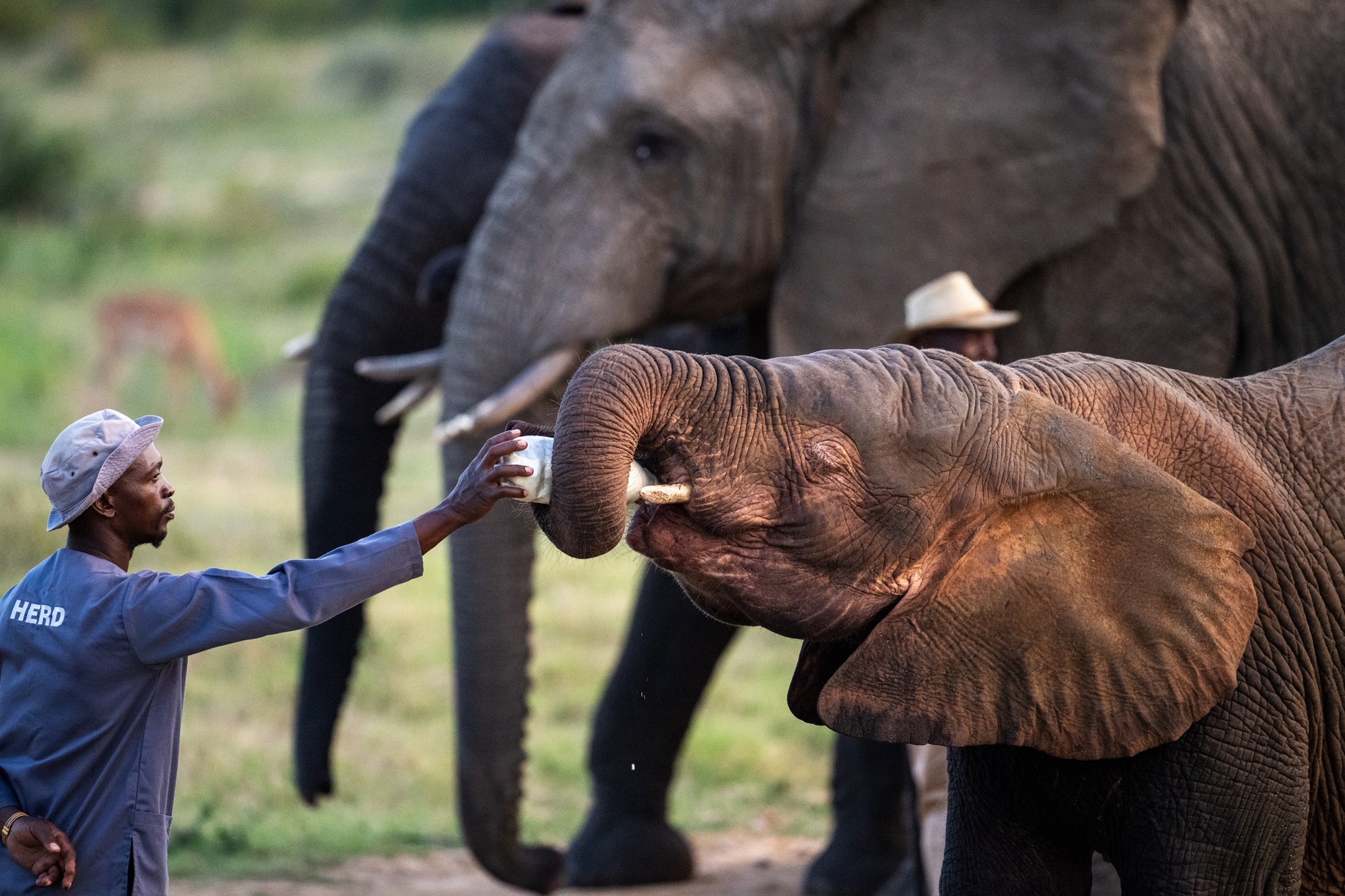 A Journey of Generosity | HERD’s Gratitude Blog