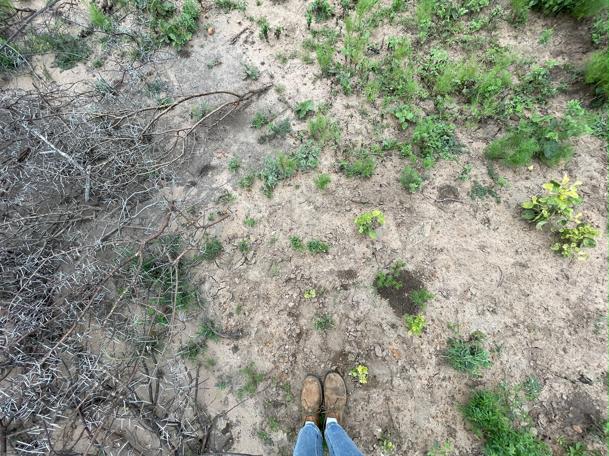 Connecting Classroom and Conservation | HERD’s Newest Conservation Students
