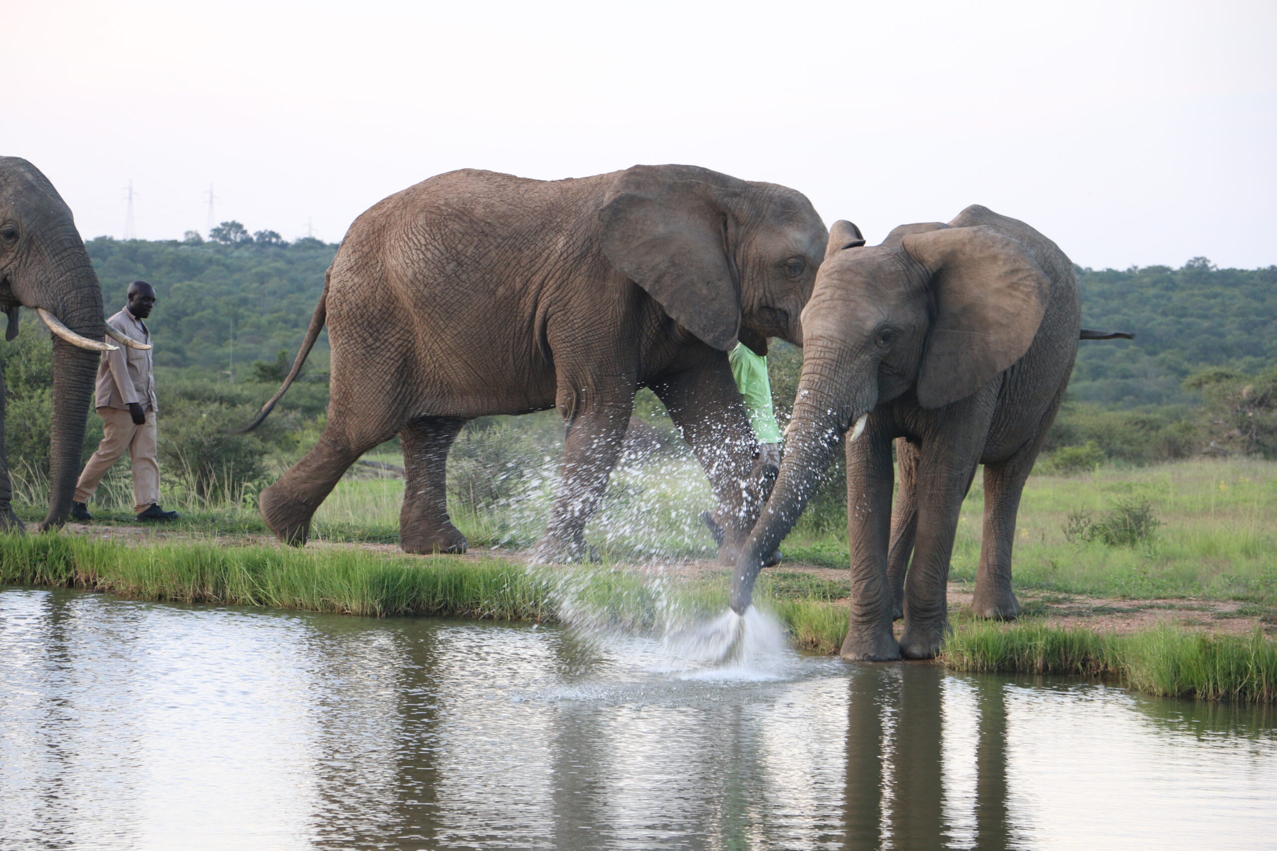 Water’s Vital Role at HERD | Celebrating World Water Day