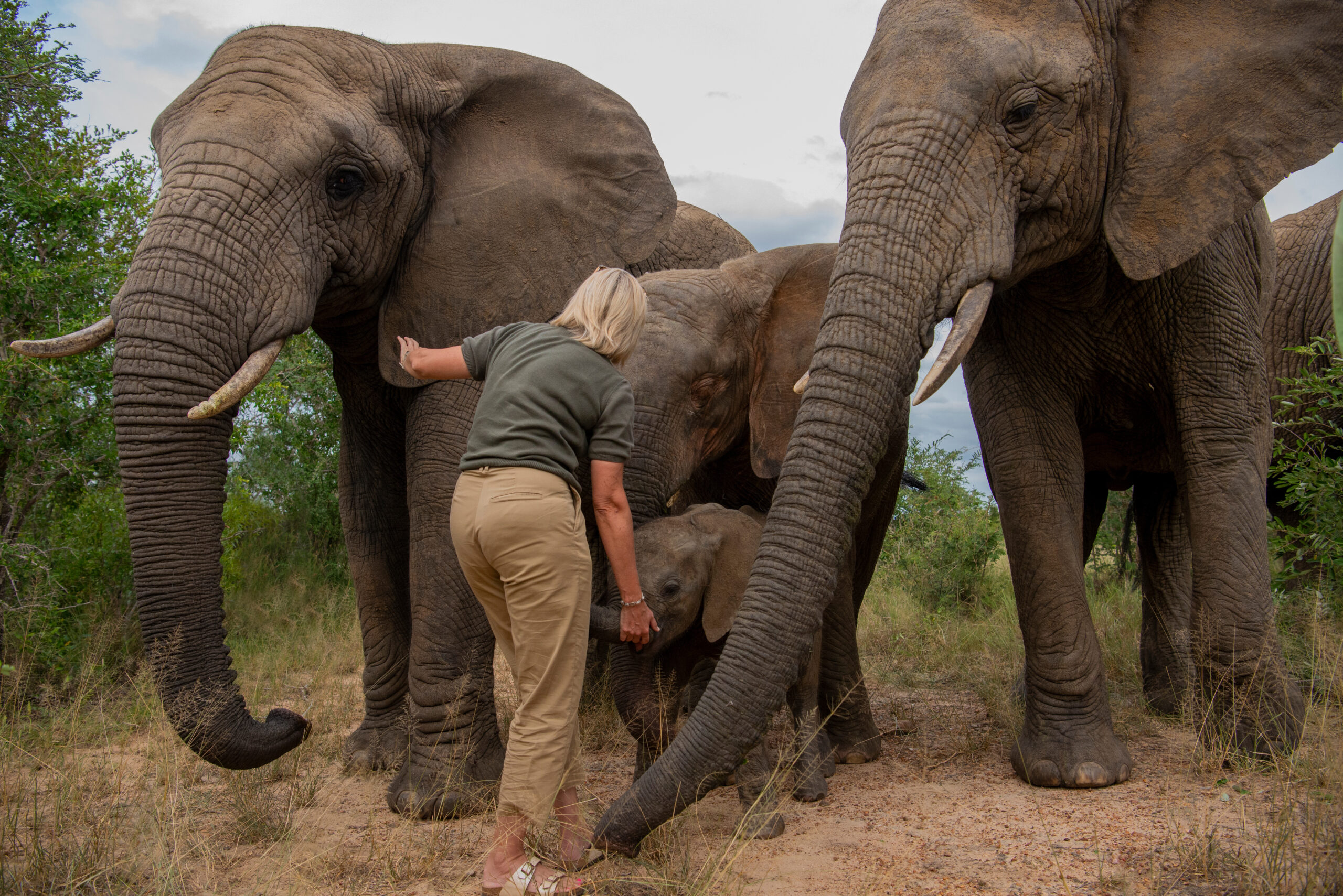 A Gratitude Post to the Moms of the Jabulani Herd