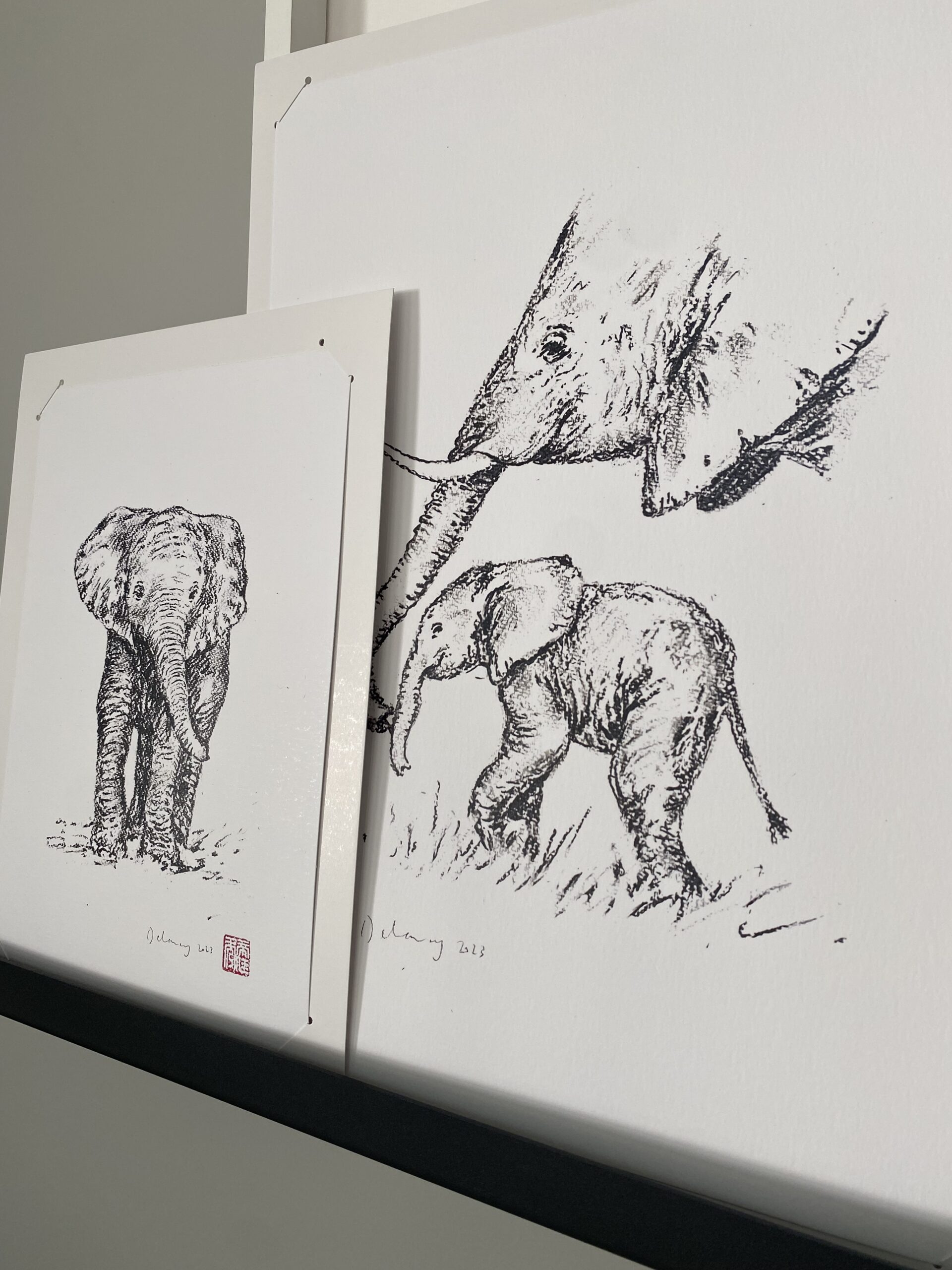 HERD Shop