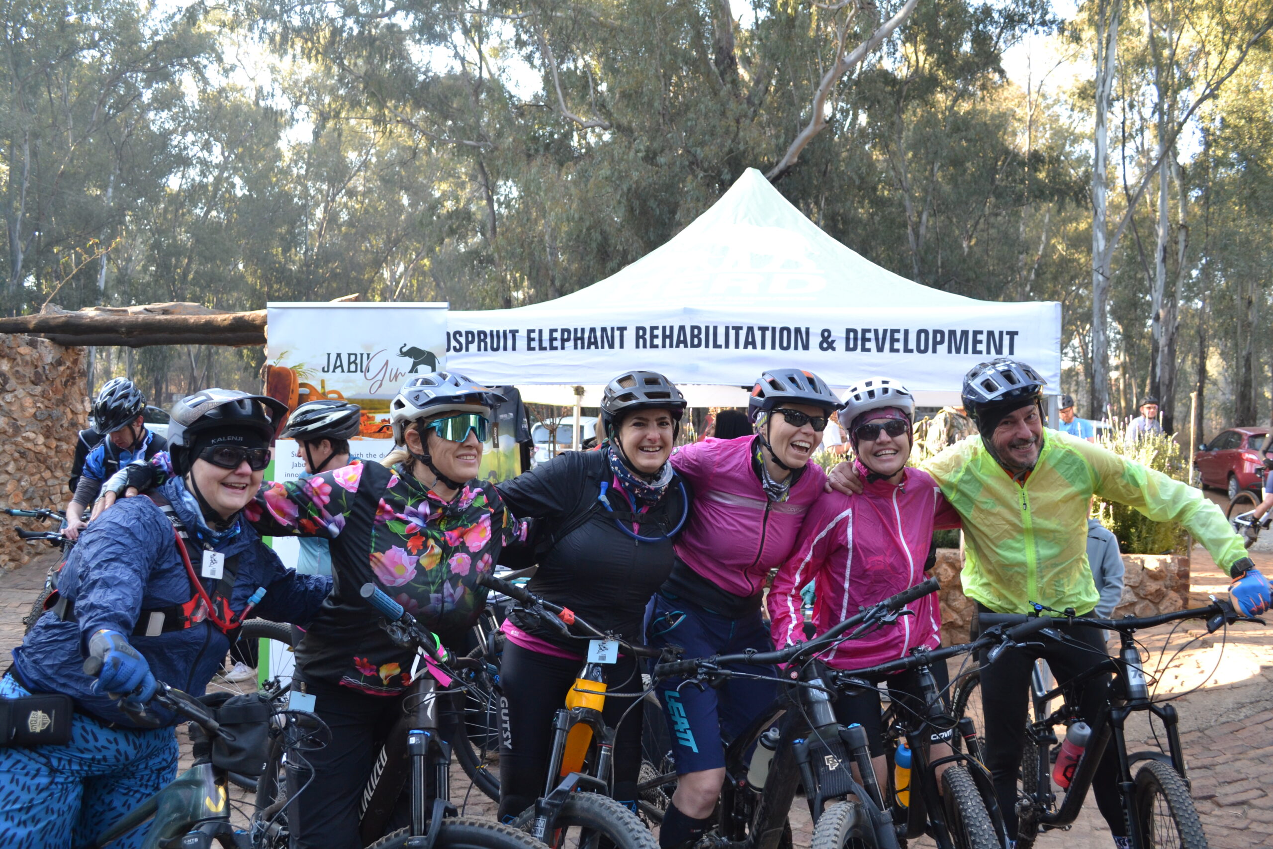 A Memorable Morning for Elephants | Trails for Trunks 2024