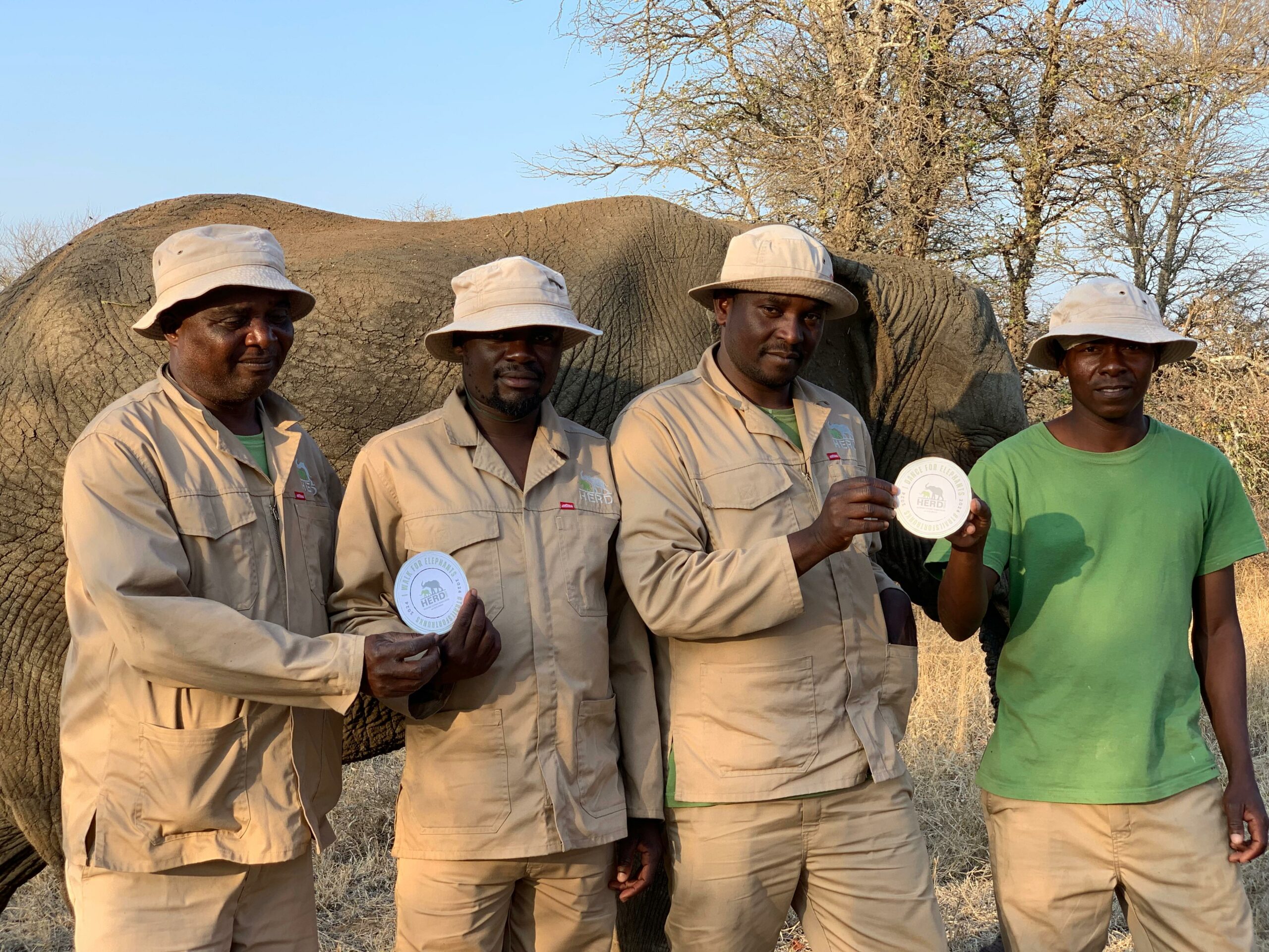 A Worldwide Journey for Elephants | Trails for Trunks 2024