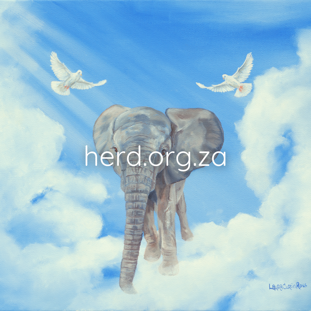 Wisdom 1 – small