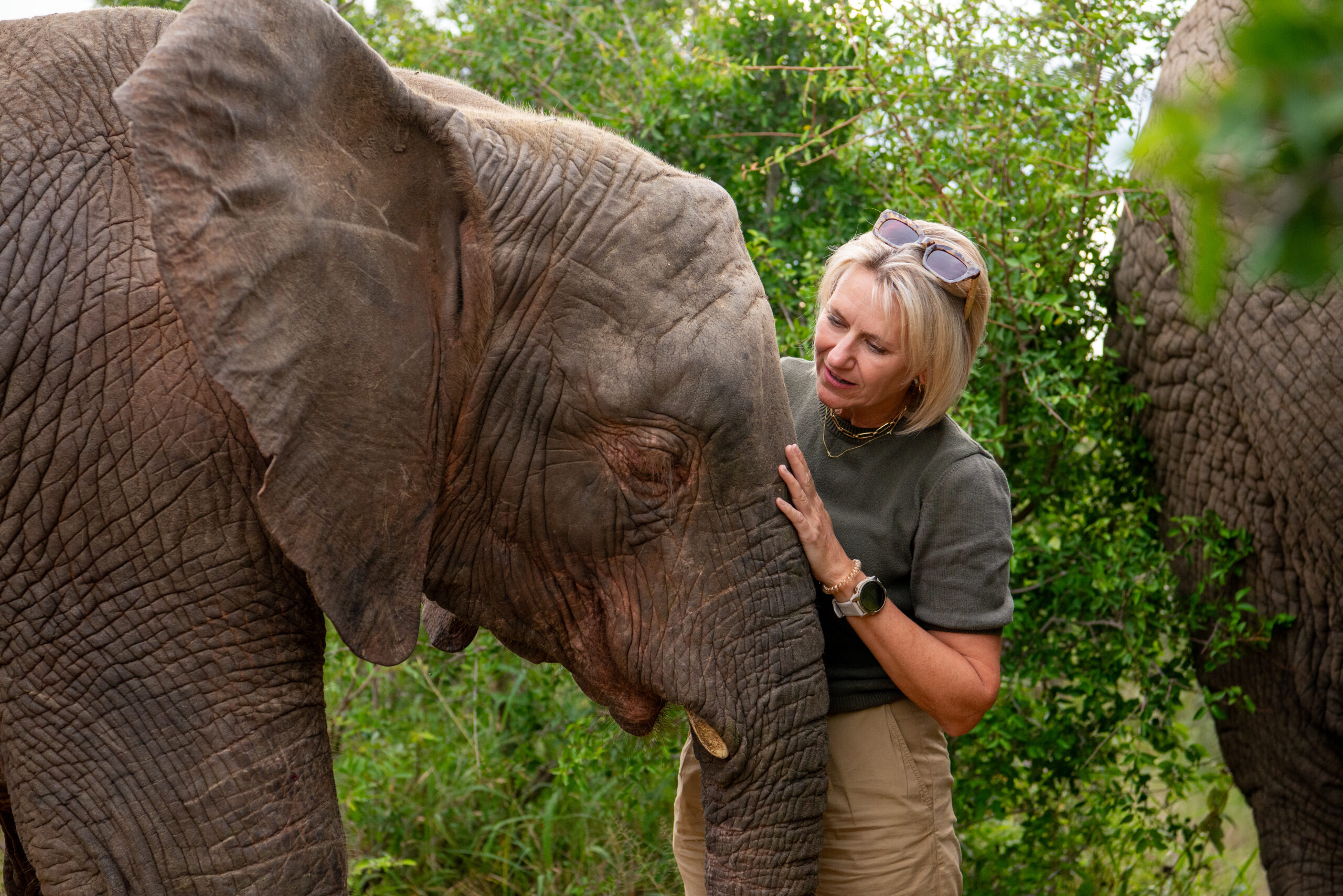 Five Years of Sunshine with Albino Elephant, Khanyisa