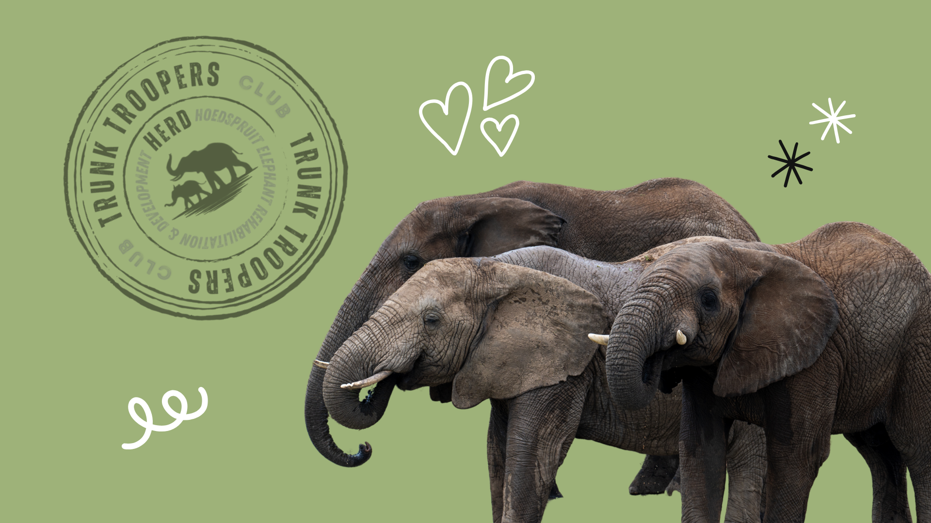 Trunk Troopers: HERD’s First Kids Club