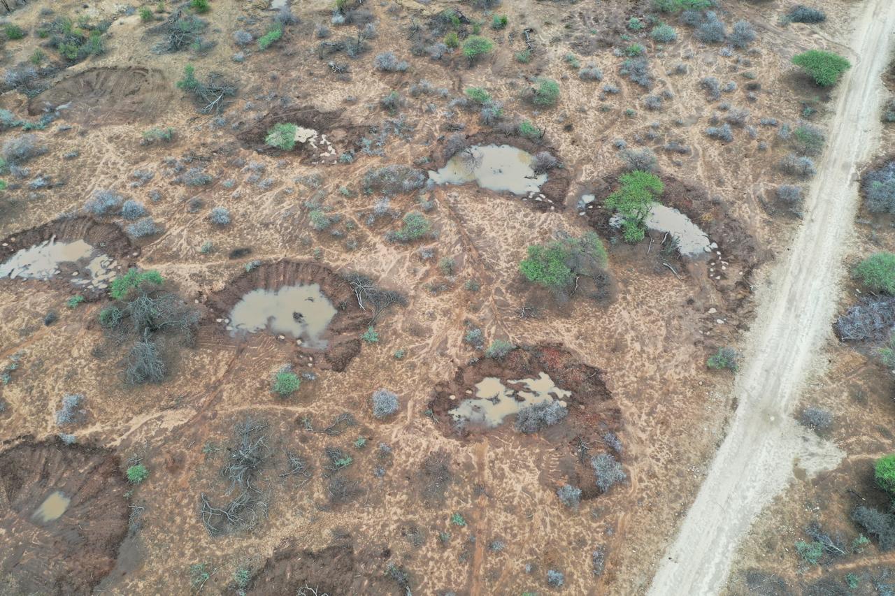 Bana Grass, Land Restoration & Solar Power | A Look at Our Progress!