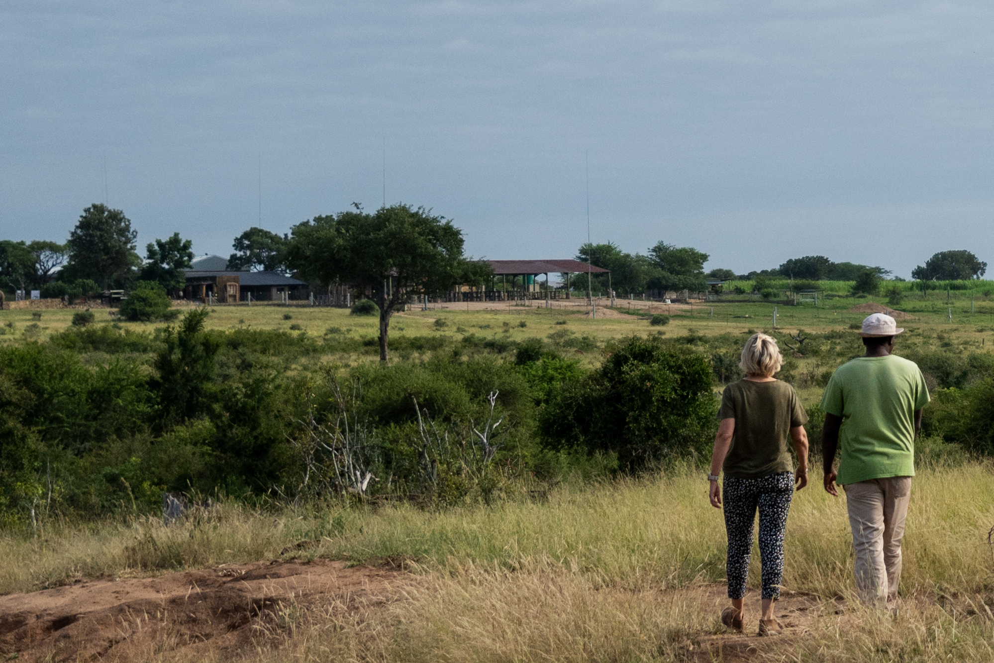 Protecting Wildlife, One Essential at a Time