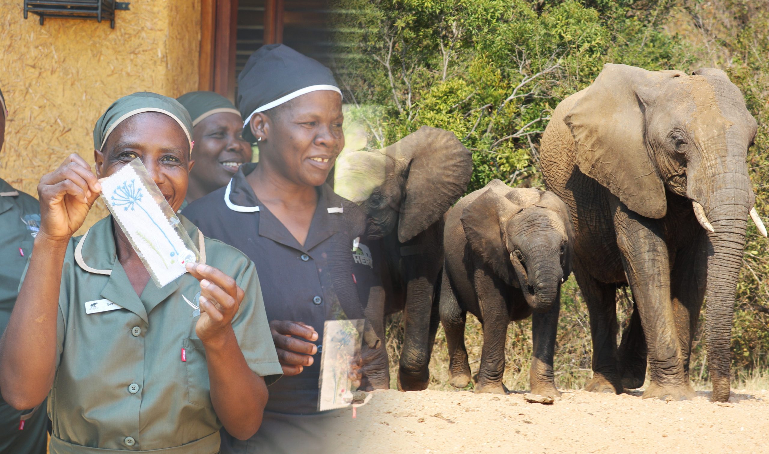 Help an Elephant, Help a Mother — Honouring the Spirit of Motherhood This May