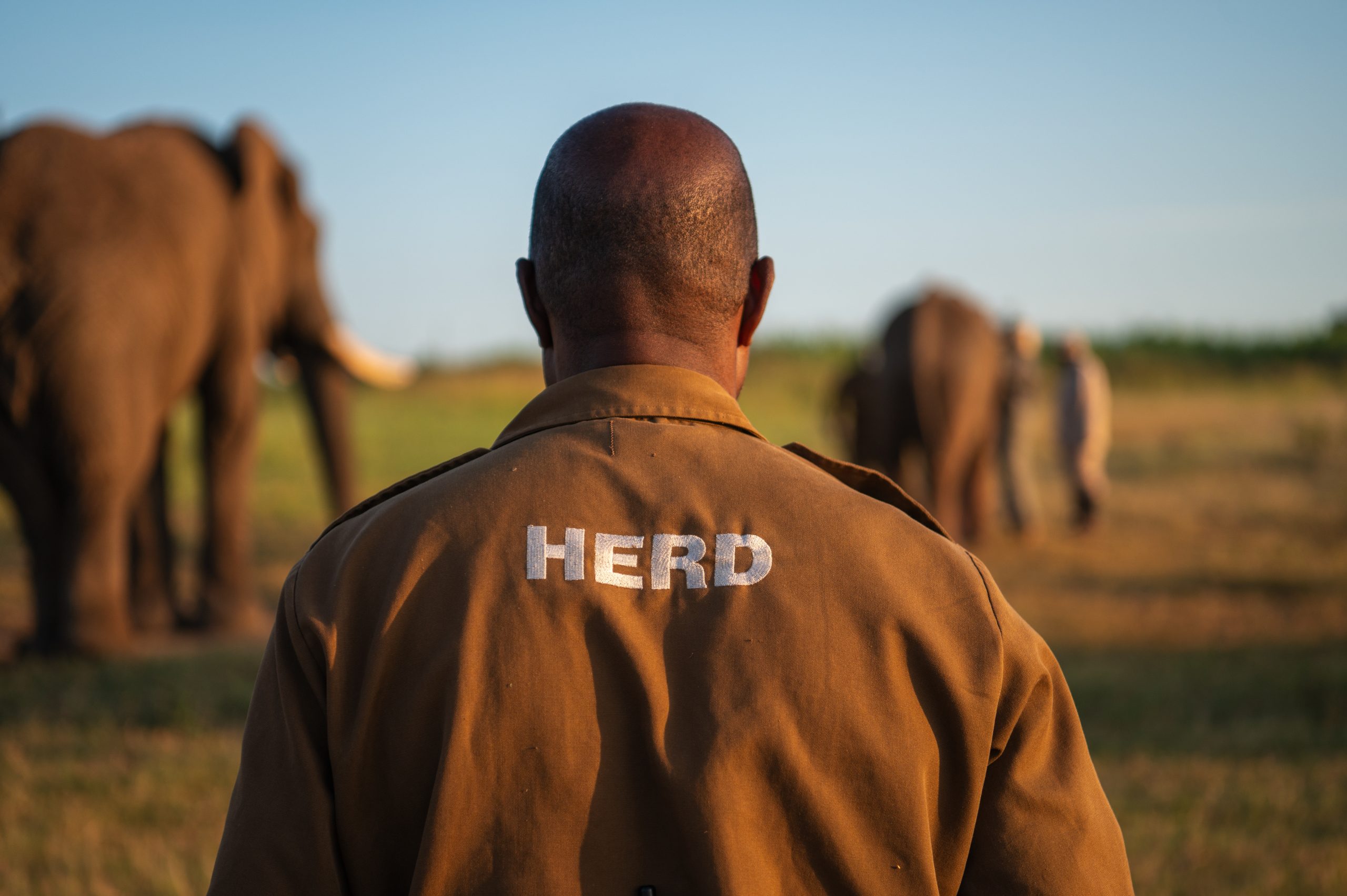 Walking Beside Giants: Honouring the Father Figures of HERD