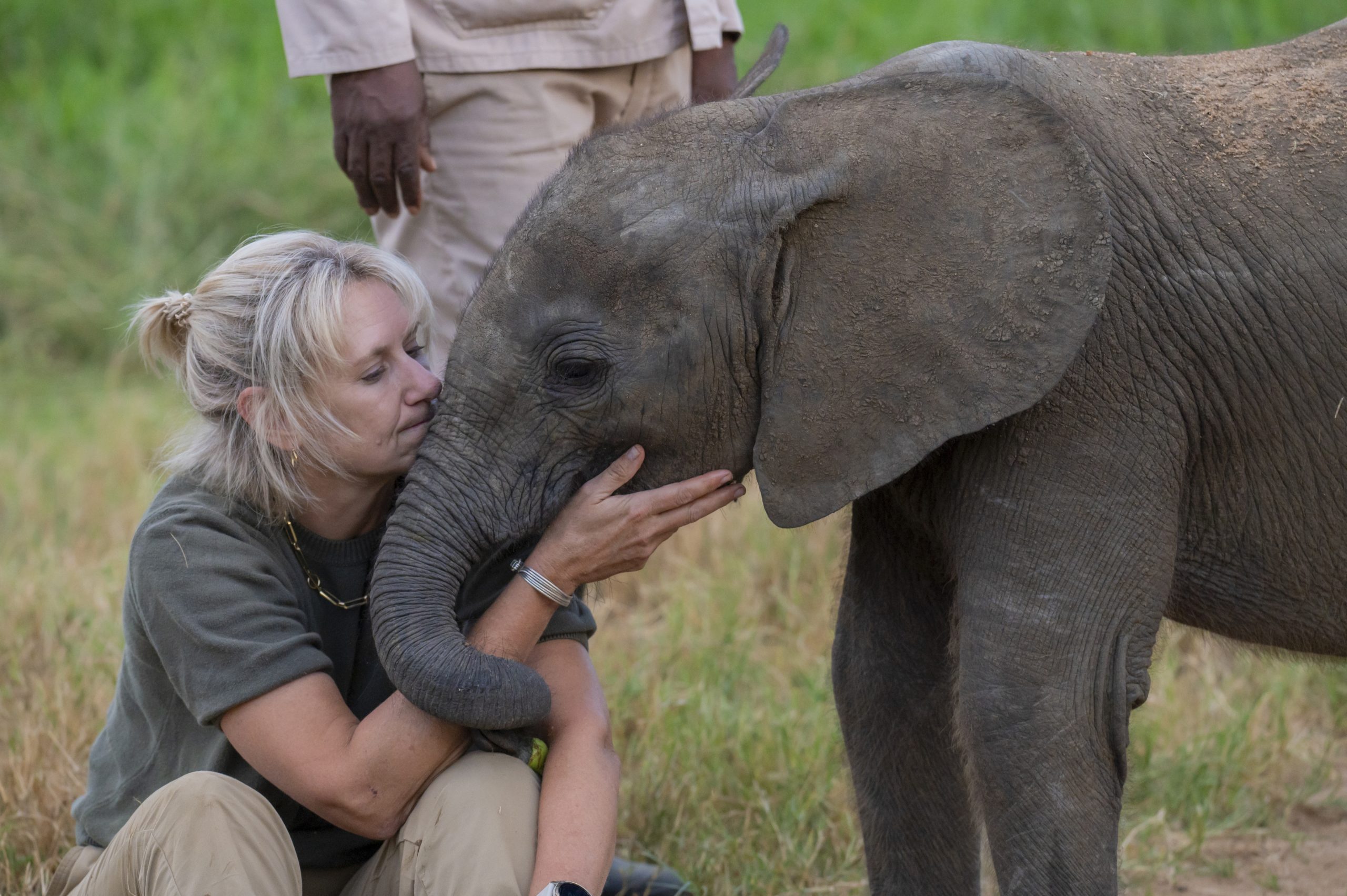How One Rescue Elephant Changed Us: One Year Without Phabeni