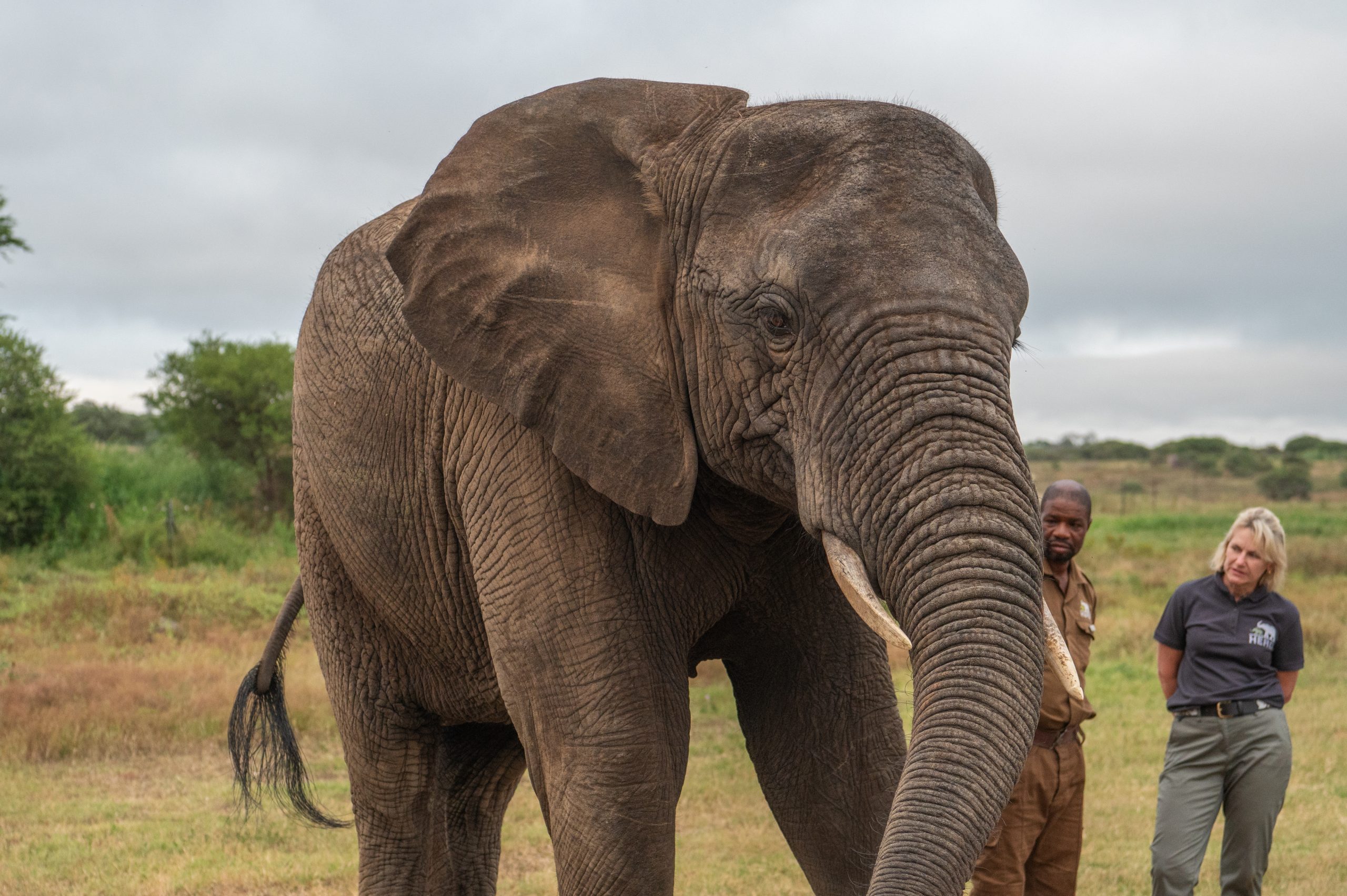How Kumbura Found Family | 16 Years Since Her Rescue