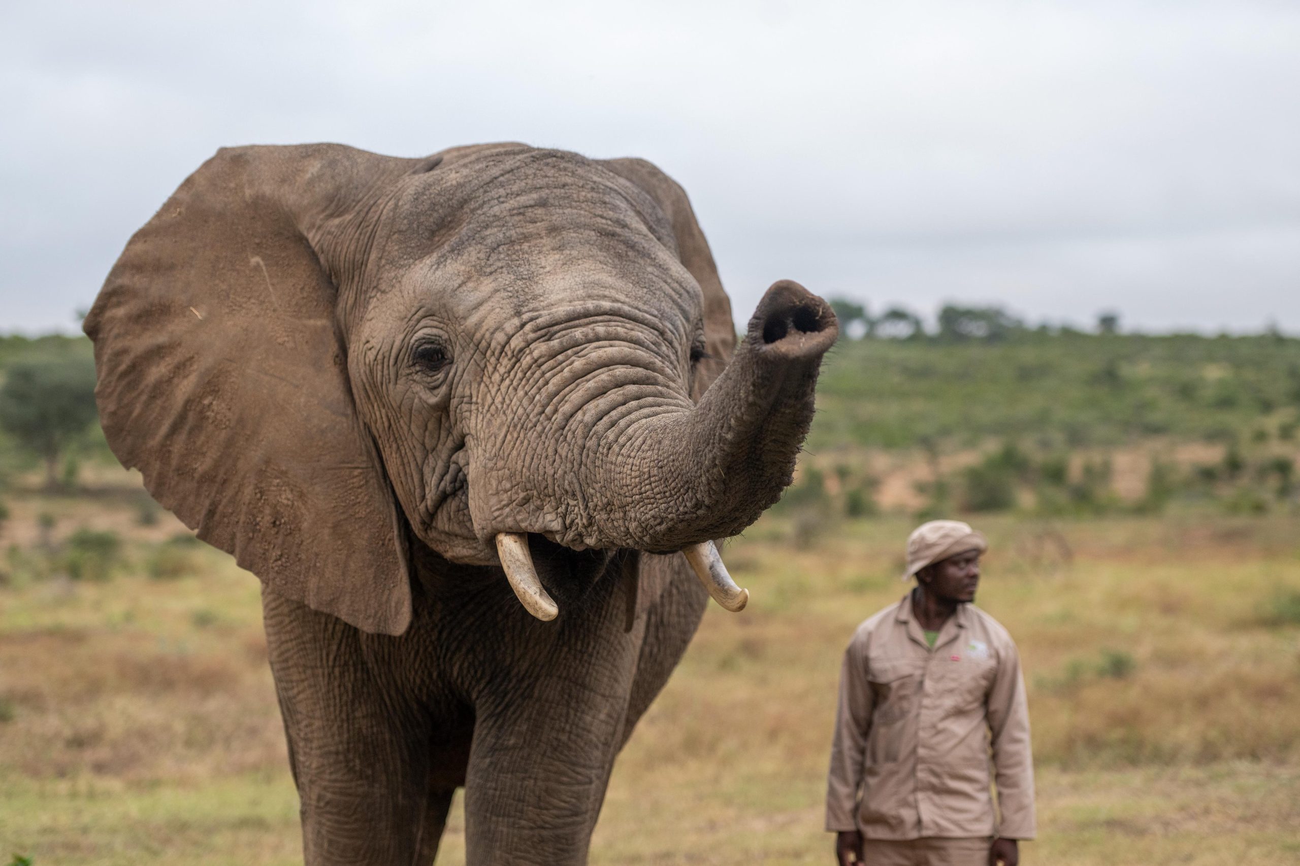 Nineteen Years of Limpopo | The Heart of a Future Matriarch