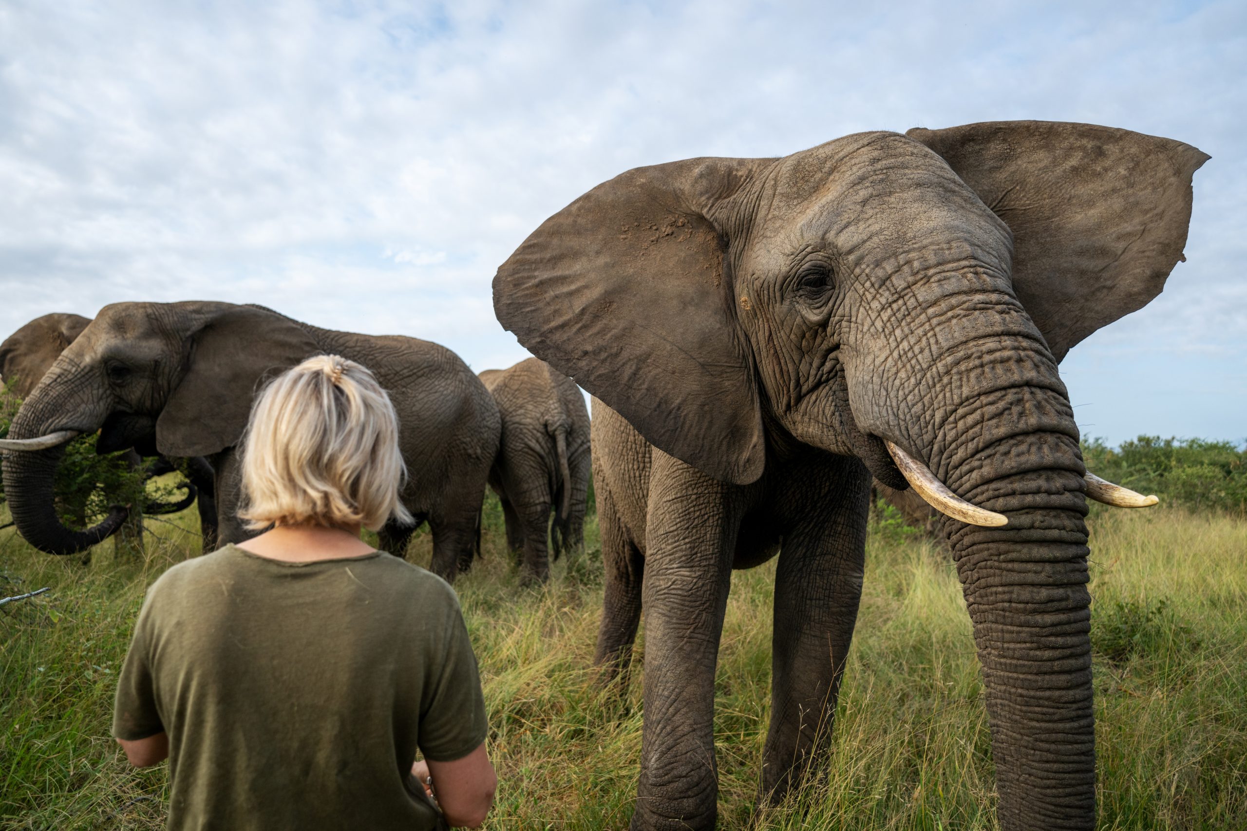 A Tribute to Limpopo | A Letter from Adine